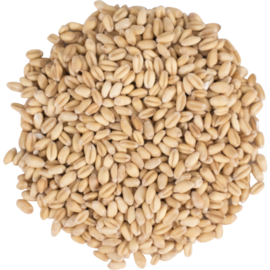 Proximity Malt White Wheat