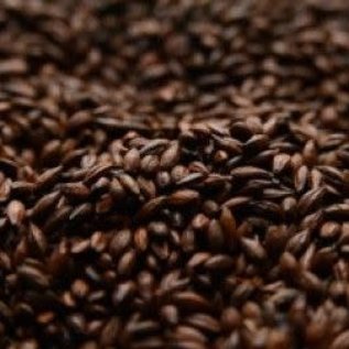 Briess Roasted Barley 300L