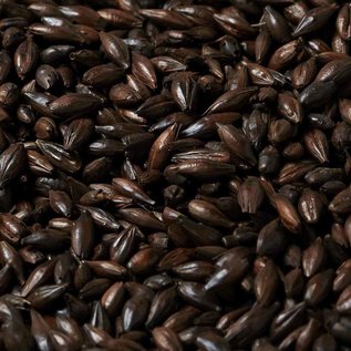 William Crisp Chocolate 425-475L