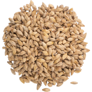 The Swaen Sour Malt (Acidulated Malt )