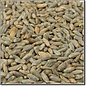 Prairie Malt Rye Malt  50 lb Bag