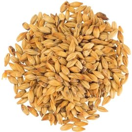 Weyermann CaraMunich 1 10lb Bag