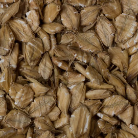 Flaked Barley 10 lb Bag