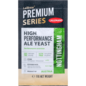 Lallemand Nottingham