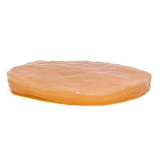 Classic Kombucha SCOBY Starter Culture