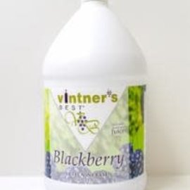 Vintner's Blackberry Wine Base (makes 5-gallons)