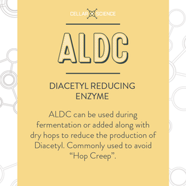 CellarScience® ALDC | Diacetyl Reducing Enzyme