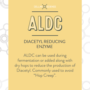 CellarScience® ALDC | Diacetyl Reducing Enzyme