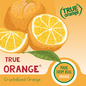 True Citrus® True Orange® Powdered Flavoring (2 oz)
