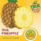 True Citrus® True Pineapple® Powdered Flavoring (4 oz)