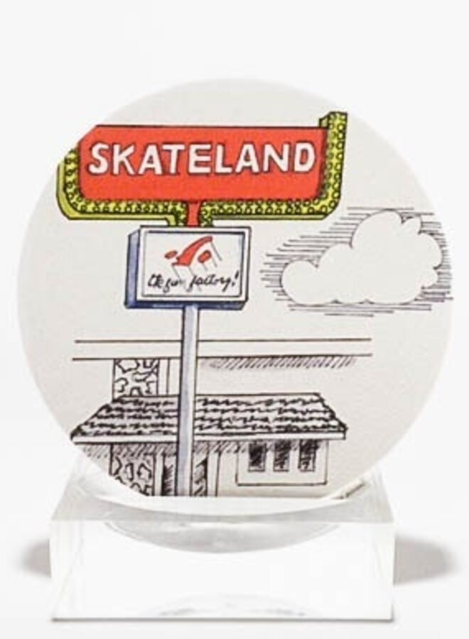 Skateland Coaster