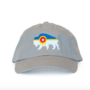 Bison Flag Dad Hat - Tulsa Flag  - Grey