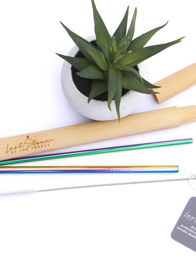 4 pc Straw Set Rainbow In Bamboo Case