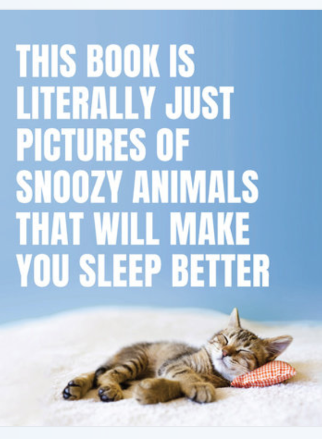 Pictures of Snoozy Animals