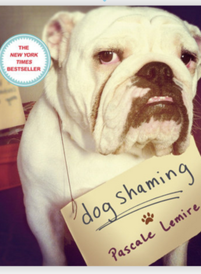 Dog Shaming