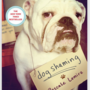Dog Shaming