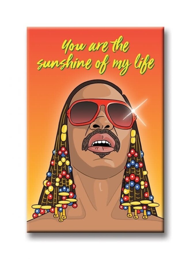 Stevie Wonder Magnet