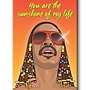 Stevie Wonder Magnet