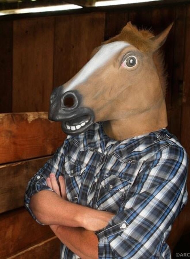Horse Mask