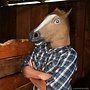 Horse Mask
