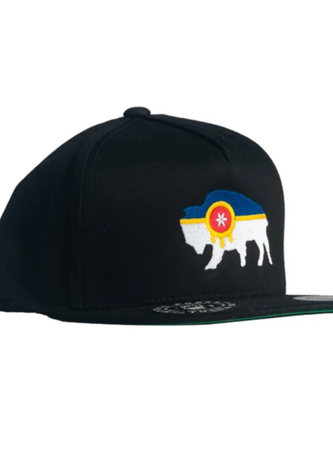 Bison Flag Flatbill - Black