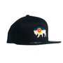 Bison Flag Flatbill - Black