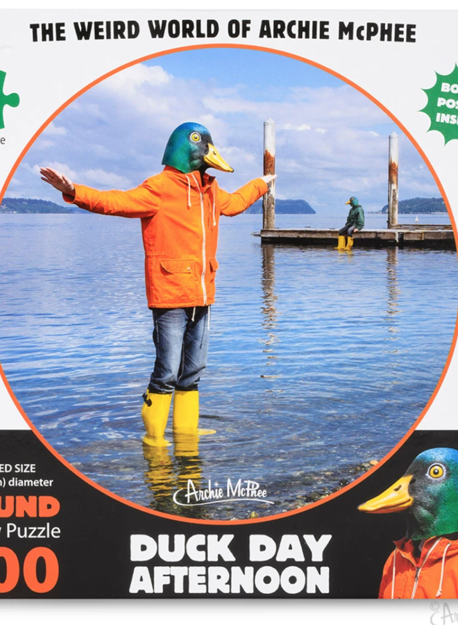 Duck Day Afternoon Puzzle