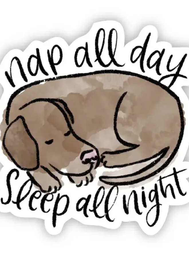 Nap All Day Sleep All Night - Brown Dog Sticker