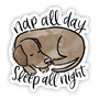 Nap All Day Sleep All Night - Brown Dog Sticker