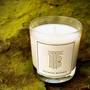 Blonde 12 Oz Candle