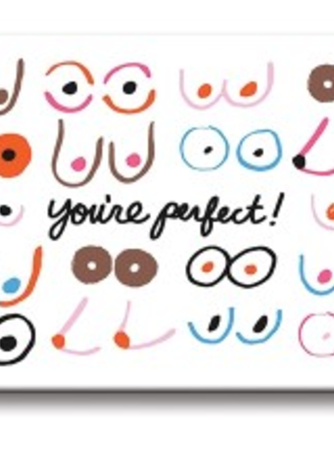 You're Perfect Boobs Magnet