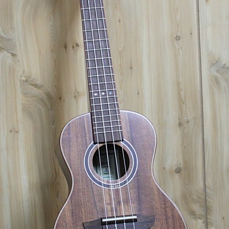 Ortega Ortega Timber Series Concert Ukulele w/Bag