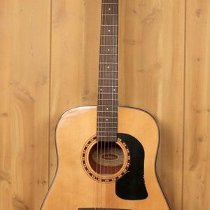 Washburn Washburn Apprentice AD5K Dreadnought w/Hard Case