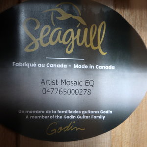 Seagull Seagull Artist Mosaic EQ with TRIC Case