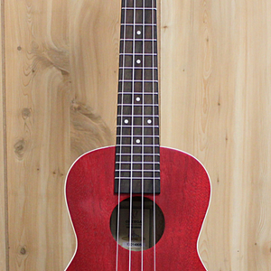 Ortega Ortega Earth Series Concert Ukulele