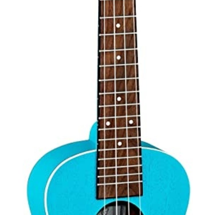 Ortega Ortega Earth Series Concert Ukulele