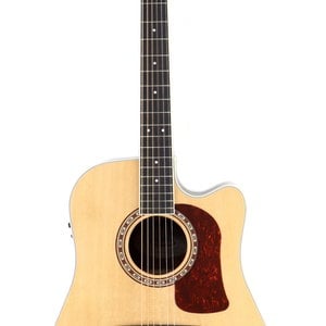 Washburn Washburn Heritage HD20SCE-O