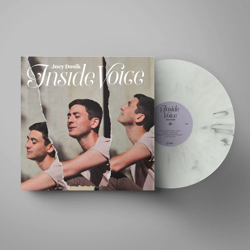 Joey Dosik / Inside Voice (Stone White Vinyl)