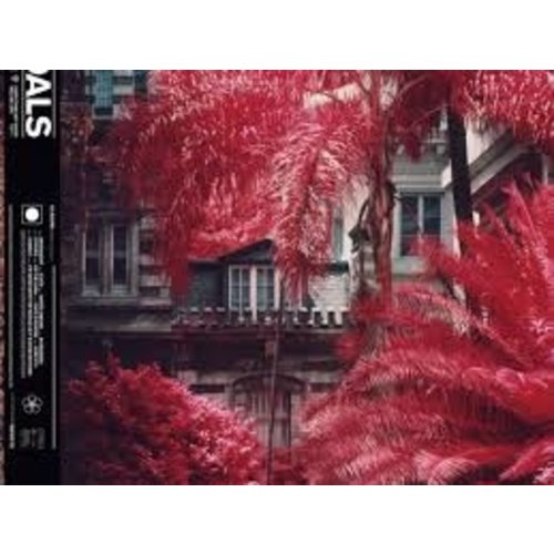 Foals / Everything Not Saved Will Be Lost [Part 1]