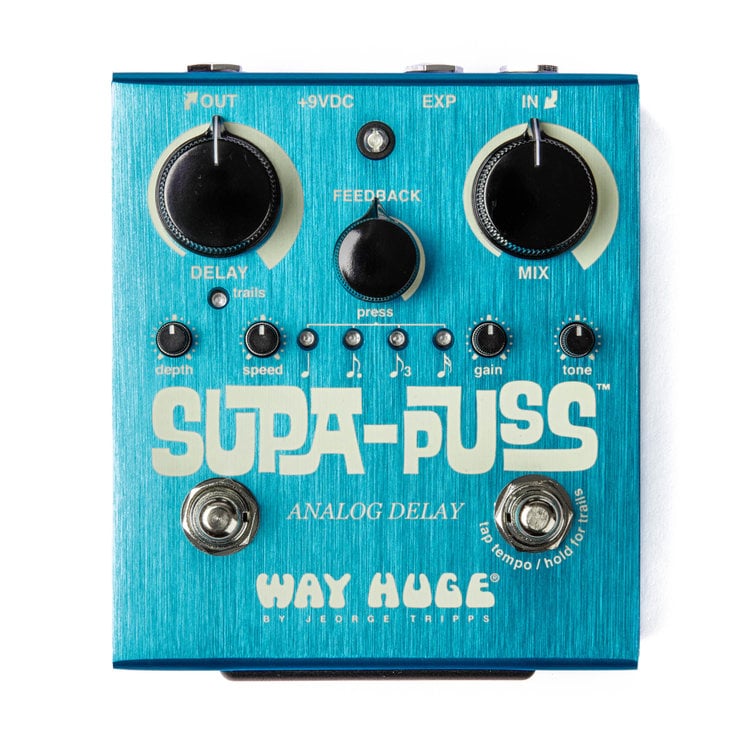 Way Huge Way Huge Supa Puss Analog Delay