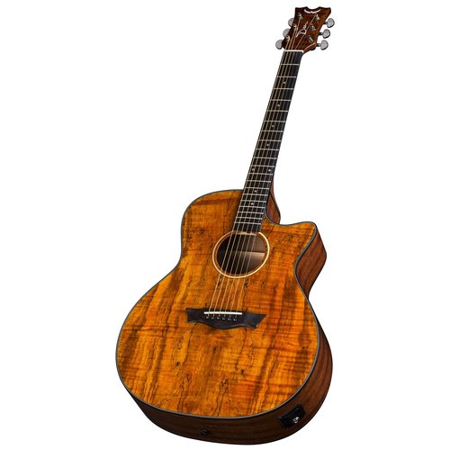 Dean Dean AXS Exotic Cutaway A/E Spalt Dean Dean AXS Exotic Cutaway A/E Spalt