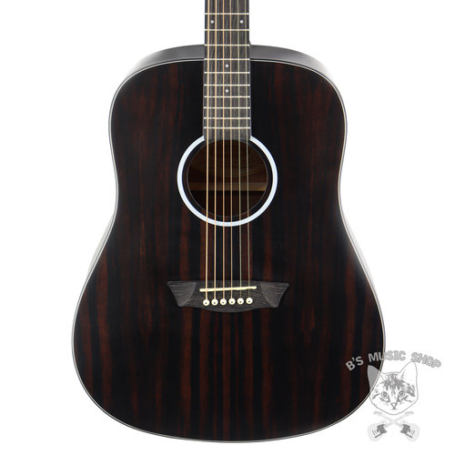 Washburn Washburn Deep Forest Dreadnought