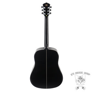 Washburn Washburn Deep Forest Dreadnought