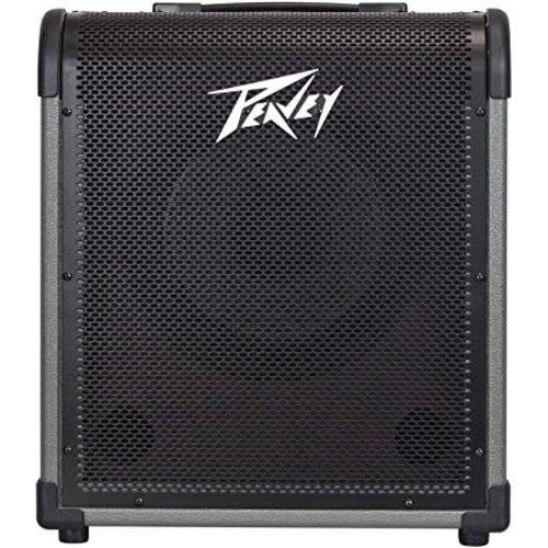 Peavey Peavey MAX 100, 100-Watt Bass Amp Combo Peavey Peavey MAX 100, 100-Watt Bass Amp Combo