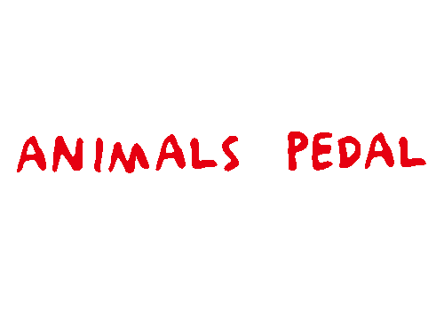 Animals Pedals
