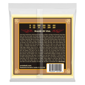 Ernie Ball Ernie Ball Earthwood Light 12-String 80/20 Bronze Acoustic Guitar Strings - 9-46 Gauge