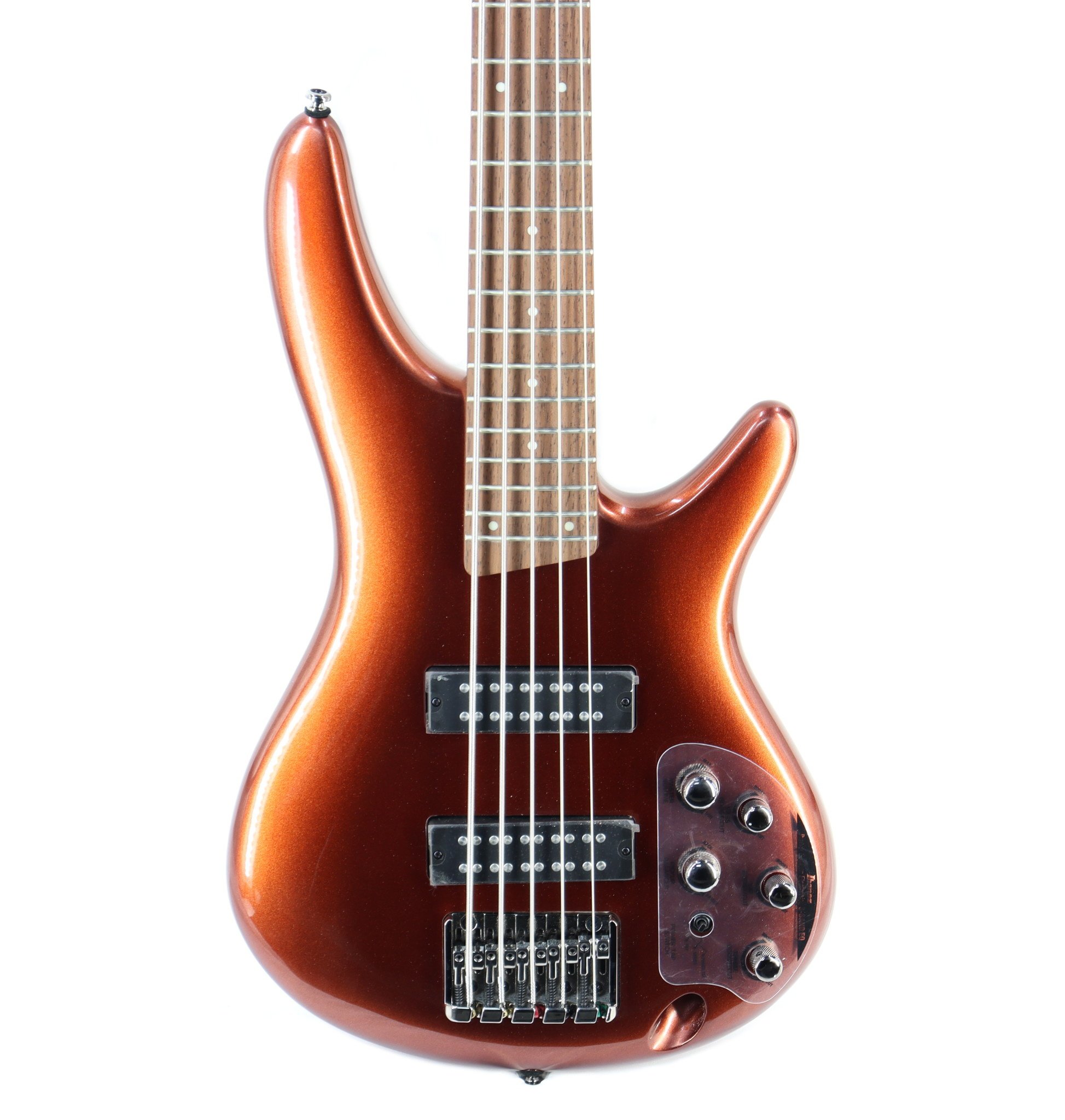 Amazon.com: Ibanez Standard SR305E 5-string Bass Guitar