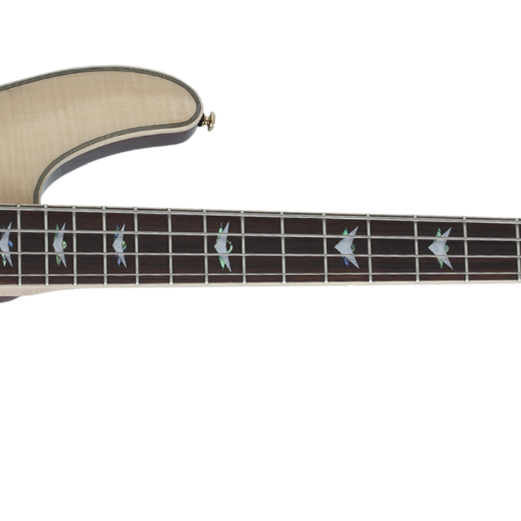 Schecter Schecter Omen Extreme-4 in Gloss Natural