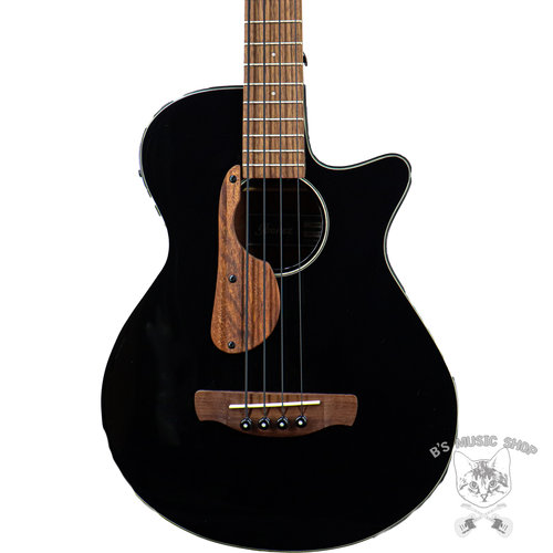 Ibanez Ibanez AEGB24E Acoustic/Electric Bass - Black Ibanez Ibanez AEGB24E Acoustic/Electric Bass - Black