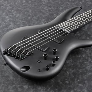 Ibanez Ibanez Iron Label SRMS625EX Multiscale 5-String Electric Bass - Black Flat